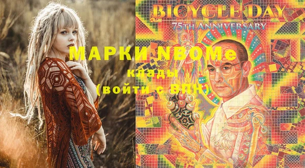 бошки Белокуриха