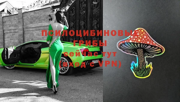 гидра Рославль
