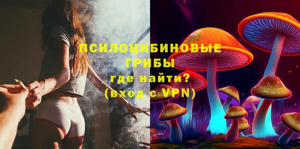 бошки Белокуриха