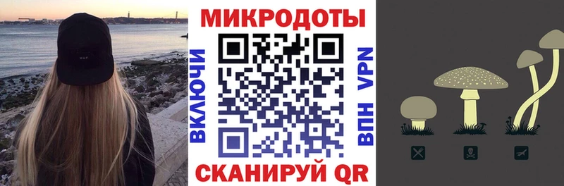 Псилоцибиновые грибы Psilocybine cubensis  Нижнеудинск 